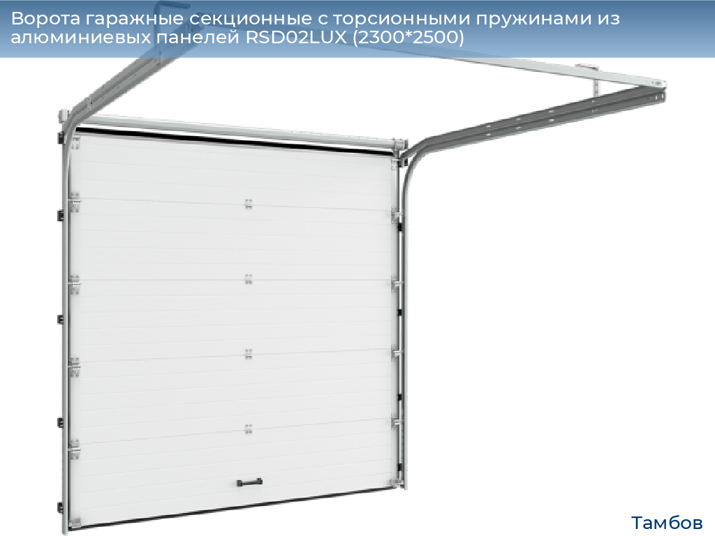 Ворота гаражные секционные с торсионными пружинами из алюминиевых панелей RSD02LUX (2300*2500), tambov.doorhan.ru