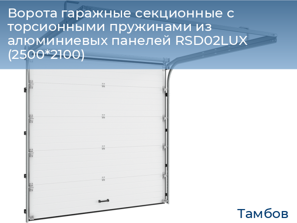 Ворота гаражные секционные с торсионными пружинами из алюминиевых панелей RSD02LUX (2500*2100), tambov.doorhan.ru