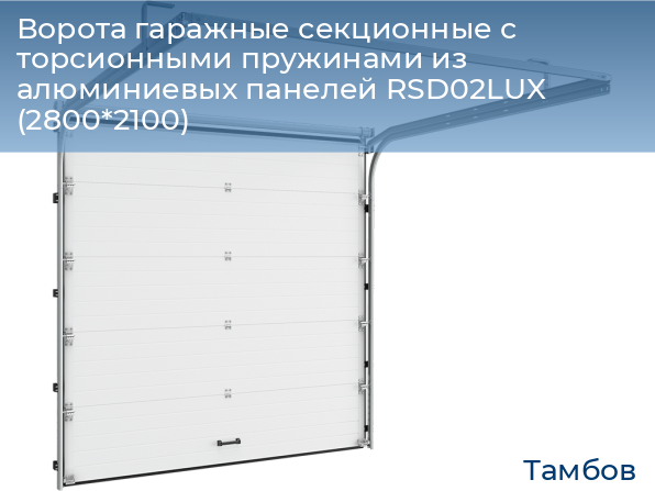 Ворота гаражные секционные с торсионными пружинами из алюминиевых панелей RSD02LUX (2800*2100), tambov.doorhan.ru