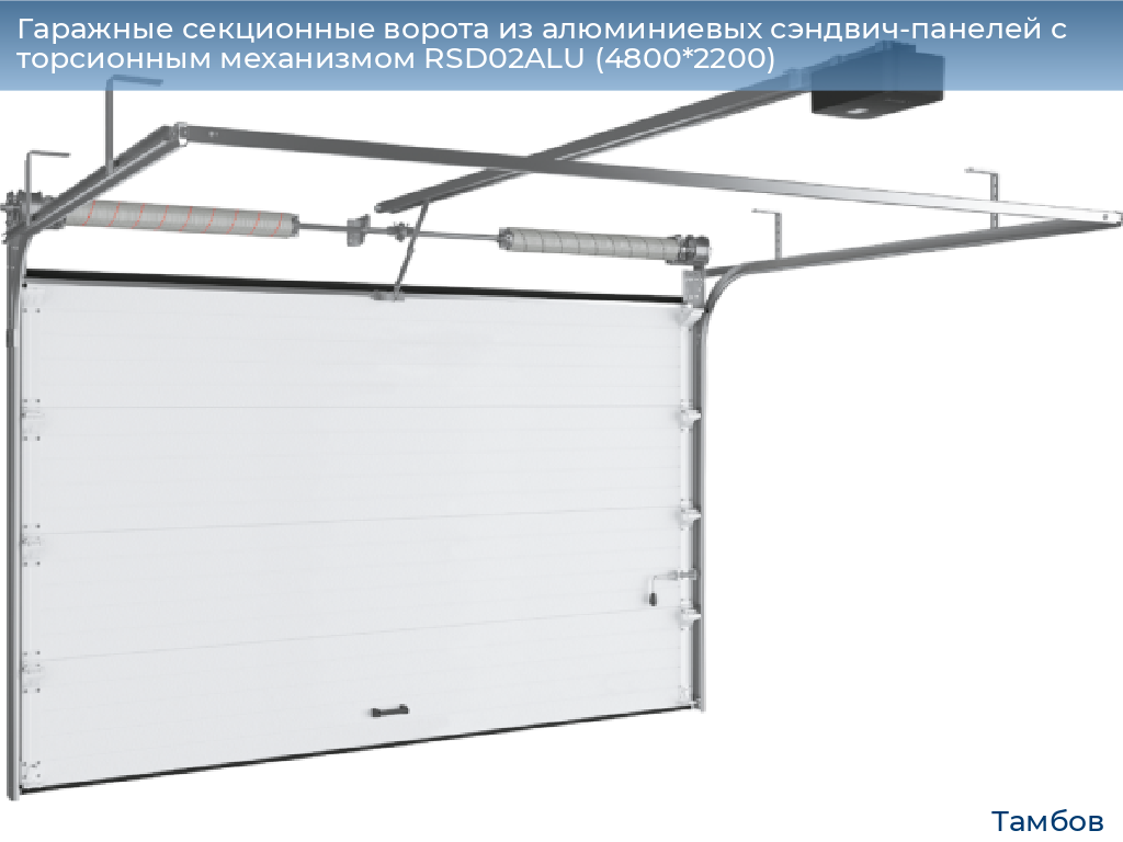 Гаражные секционные ворота из алюминиевых сэндвич-панелей с торсионным механизмом RSD02ALU (4800*2200), tambov.doorhan.ru