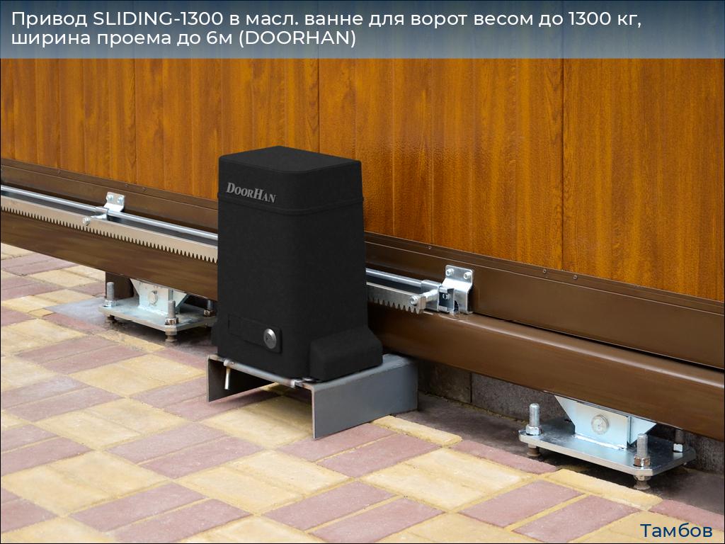 Привод SLIDING-1300 в масл. ванне для ворот весом до 1300 кг, ширина проема до 6м (DOORHAN), tambov.doorhan.ru