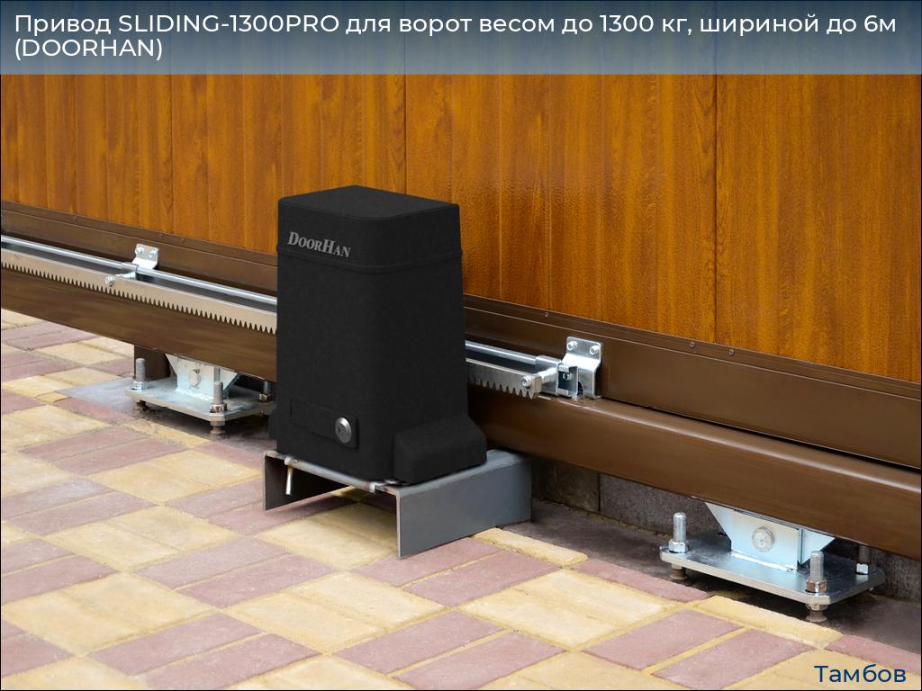 Привод SLIDING-1300PRO для ворот весом до 1300 кг, шириной до 6м (DOORHAN), tambov.doorhan.ru