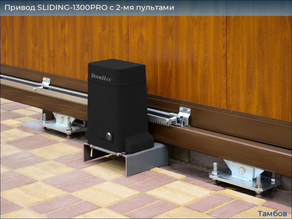 Привод SLIDING-1300PRO c 2-мя пультами, tambov.doorhan.ru