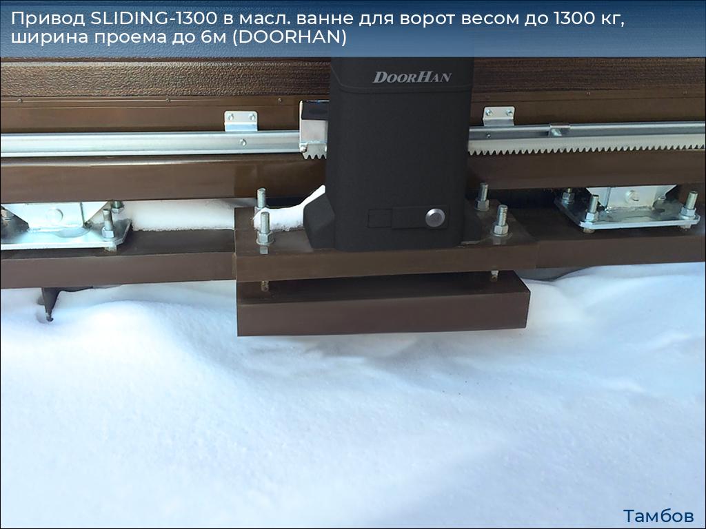 Привод SLIDING-1300 в масл. ванне для ворот весом до 1300 кг, ширина проема до 6м (DOORHAN), tambov.doorhan.ru