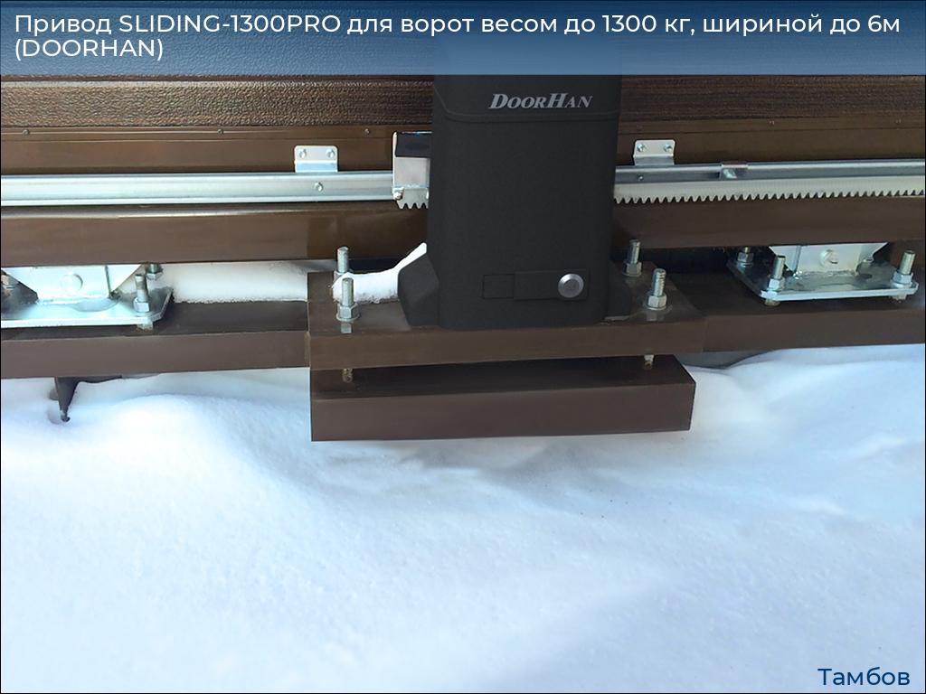 Привод SLIDING-1300PRO для ворот весом до 1300 кг, шириной до 6м (DOORHAN), tambov.doorhan.ru