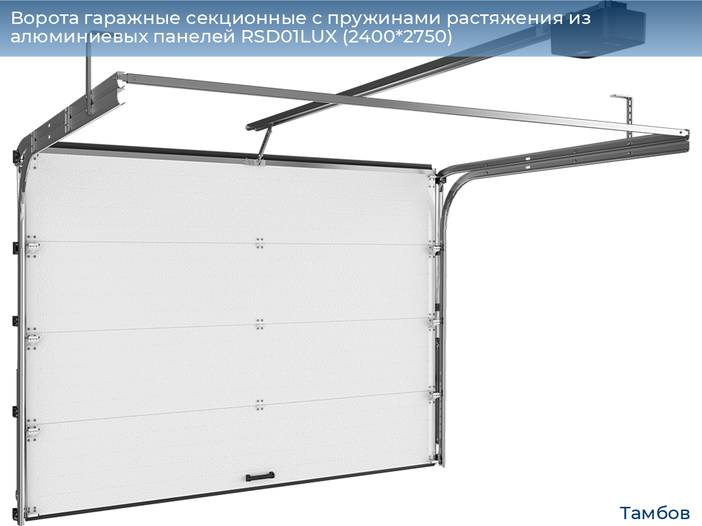 Ворота гаражные секционные с пружинами растяжения из алюминиевых панелей RSD01LUX (2400*2750), tambov.doorhan.ru