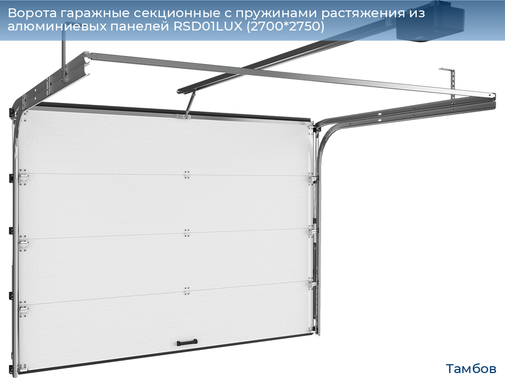Ворота гаражные секционные с пружинами растяжения из алюминиевых панелей RSD01LUX (2700*2750), tambov.doorhan.ru