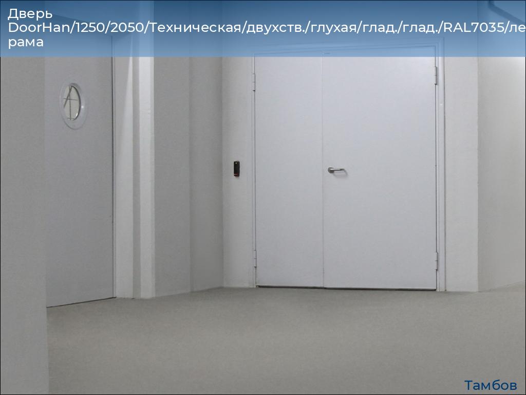 Дверь DoorHan/1250/2050/Техническая/двухств./глухая/глад./глад./RAL7035/лев./угл. рама, tambov.doorhan.ru