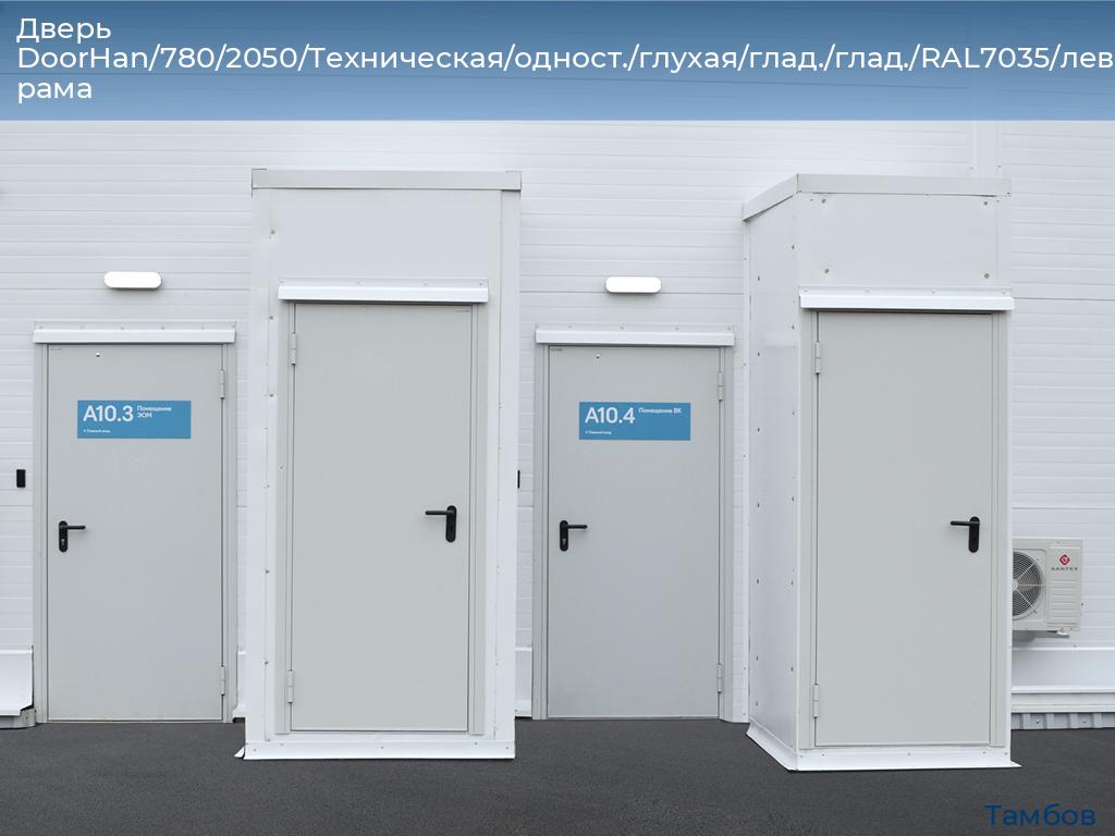 Дверь DoorHan/780/2050/Техническая/одност./глухая/глад./глад./RAL7035/лев./угл. рама, tambov.doorhan.ru