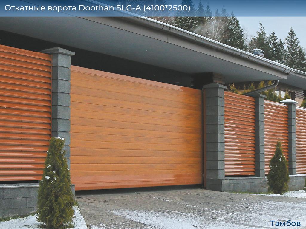 Откатные ворота Doorhan SLG-A (4100*2500), tambov.doorhan.ru