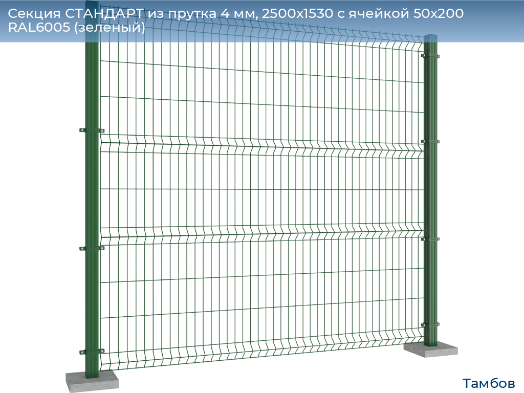 Секция СТАНДАРТ из прутка 4 мм, 2500x1530 с ячейкой 50х200 RAL6005 (зеленый), tambov.doorhan.ru