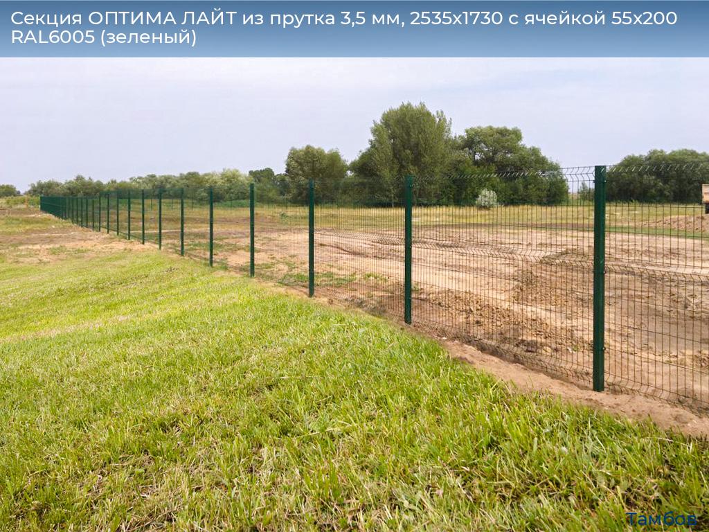 Секция ОПТИМА ЛАЙТ из прутка 3,5 мм, 2535x1730 с ячейкой 55х200 RAL6005 (зеленый), tambov.doorhan.ru