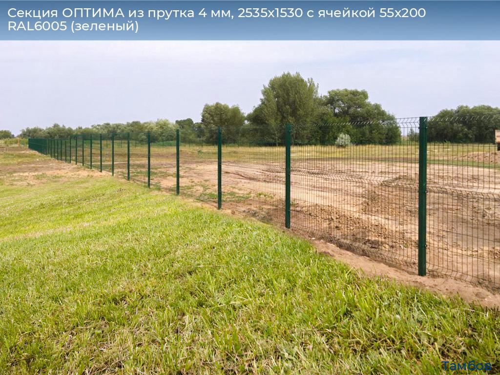 Секция ОПТИМА из прутка 4 мм, 2535x1530 с ячейкой 55х200 RAL6005 (зеленый), tambov.doorhan.ru