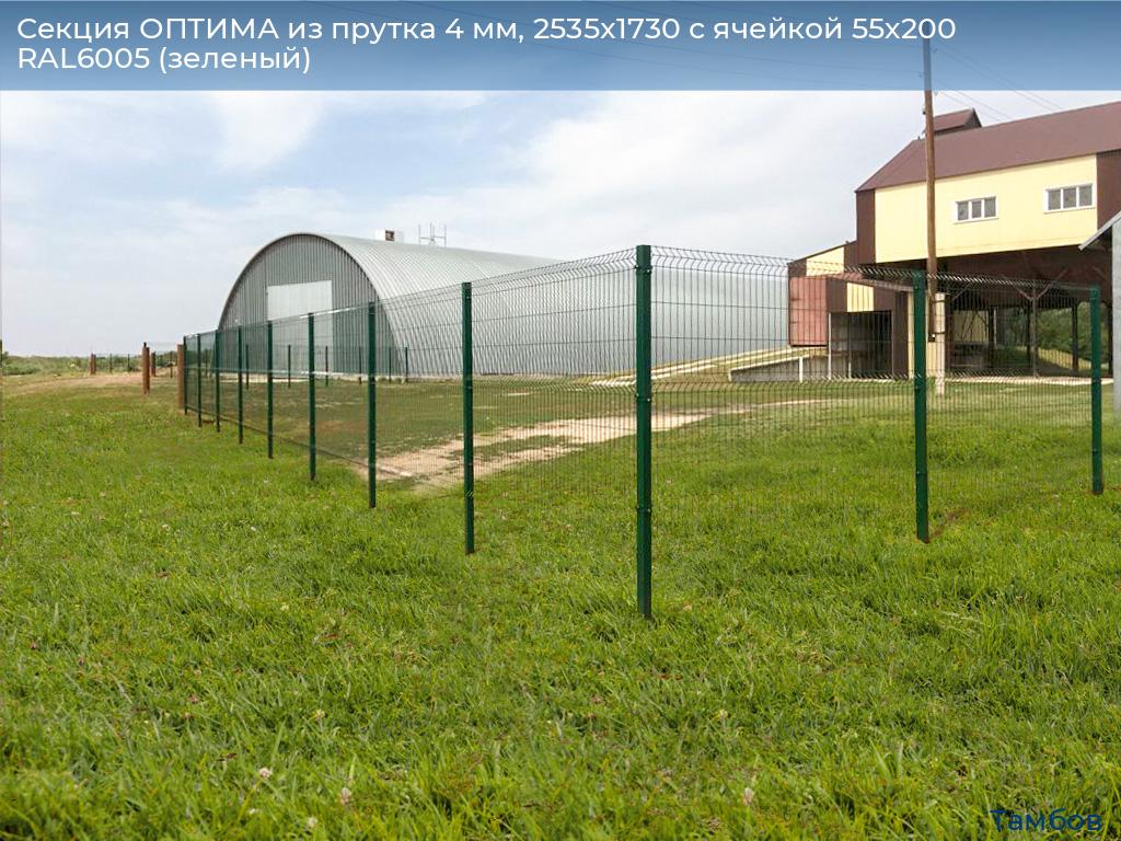 Секция ОПТИМА из прутка 4 мм, 2535x1730 с ячейкой 55х200 RAL6005 (зеленый), tambov.doorhan.ru