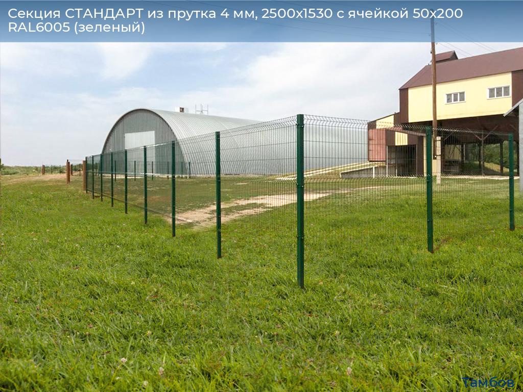 Секция СТАНДАРТ из прутка 4 мм, 2500x1530 с ячейкой 50х200 RAL6005 (зеленый), tambov.doorhan.ru