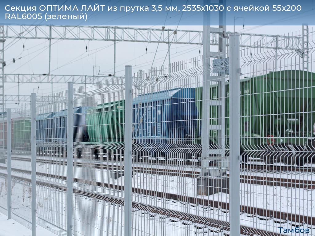 Секция ОПТИМА ЛАЙТ из прутка 3,5 мм, 2535x1030 с ячейкой 55х200 RAL6005 (зеленый), tambov.doorhan.ru