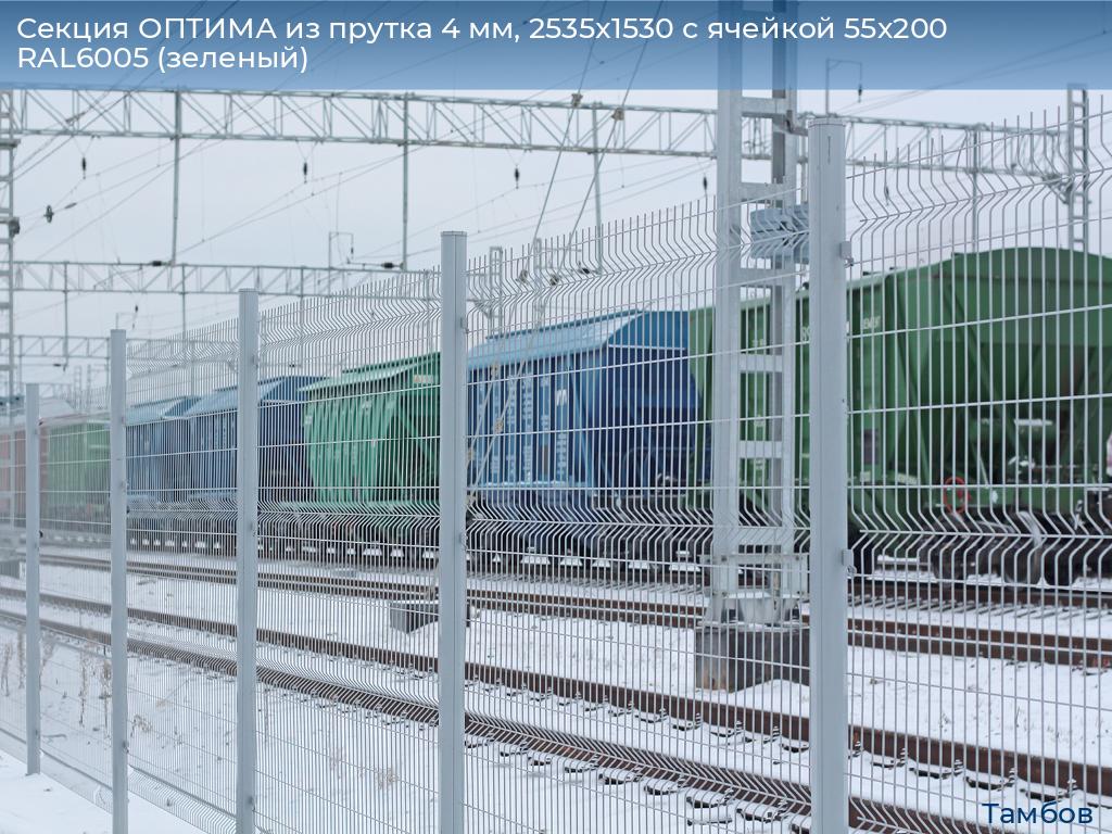 Секция ОПТИМА из прутка 4 мм, 2535x1530 с ячейкой 55х200 RAL6005 (зеленый), tambov.doorhan.ru