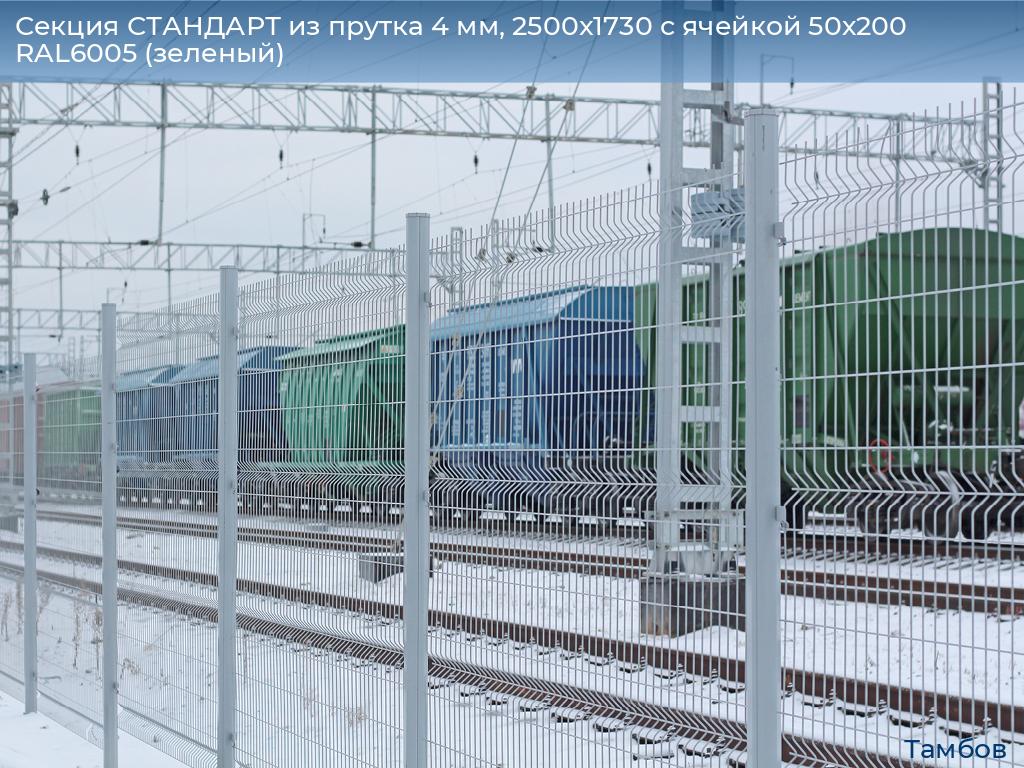 Секция СТАНДАРТ из прутка 4 мм, 2500x1730 с ячейкой 50х200 RAL6005 (зеленый) , tambov.doorhan.ru