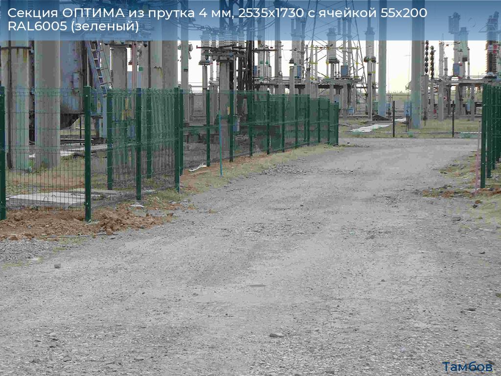 Секция ОПТИМА из прутка 4 мм, 2535x1730 с ячейкой 55х200 RAL6005 (зеленый), tambov.doorhan.ru