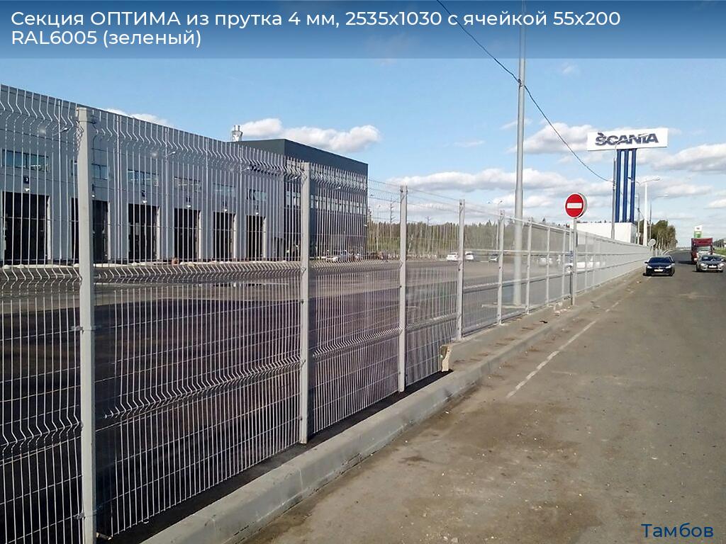 Секция ОПТИМА из прутка 4 мм, 2535x1030 с ячейкой 55х200 RAL6005 (зеленый), tambov.doorhan.ru