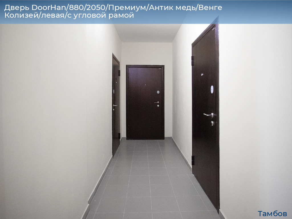 Дверь DoorHan/880/2050/Премиум/Антик медь/Венге Колизей/левая/с угловой рамой, tambov.doorhan.ru