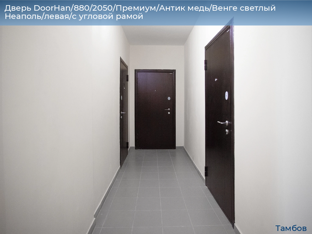 Дверь DoorHan/880/2050/Премиум/Антик медь/Венге светлый Неаполь/левая/с угловой рамой, tambov.doorhan.ru