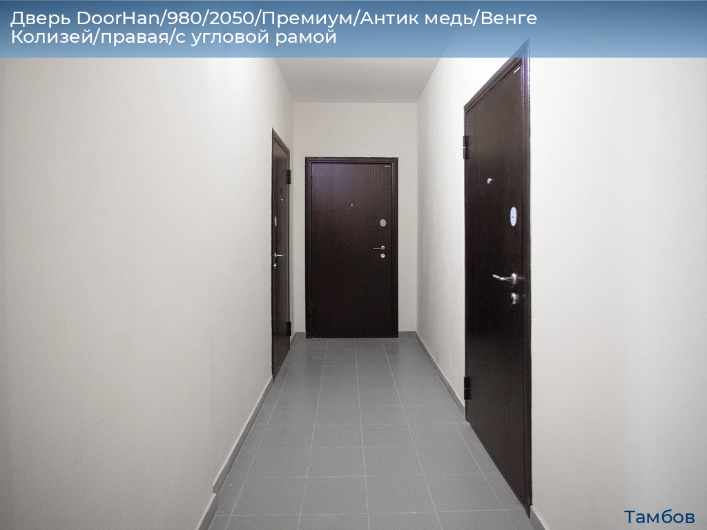Дверь DoorHan/980/2050/Премиум/Антик медь/Венге Колизей/правая/с угловой рамой, tambov.doorhan.ru