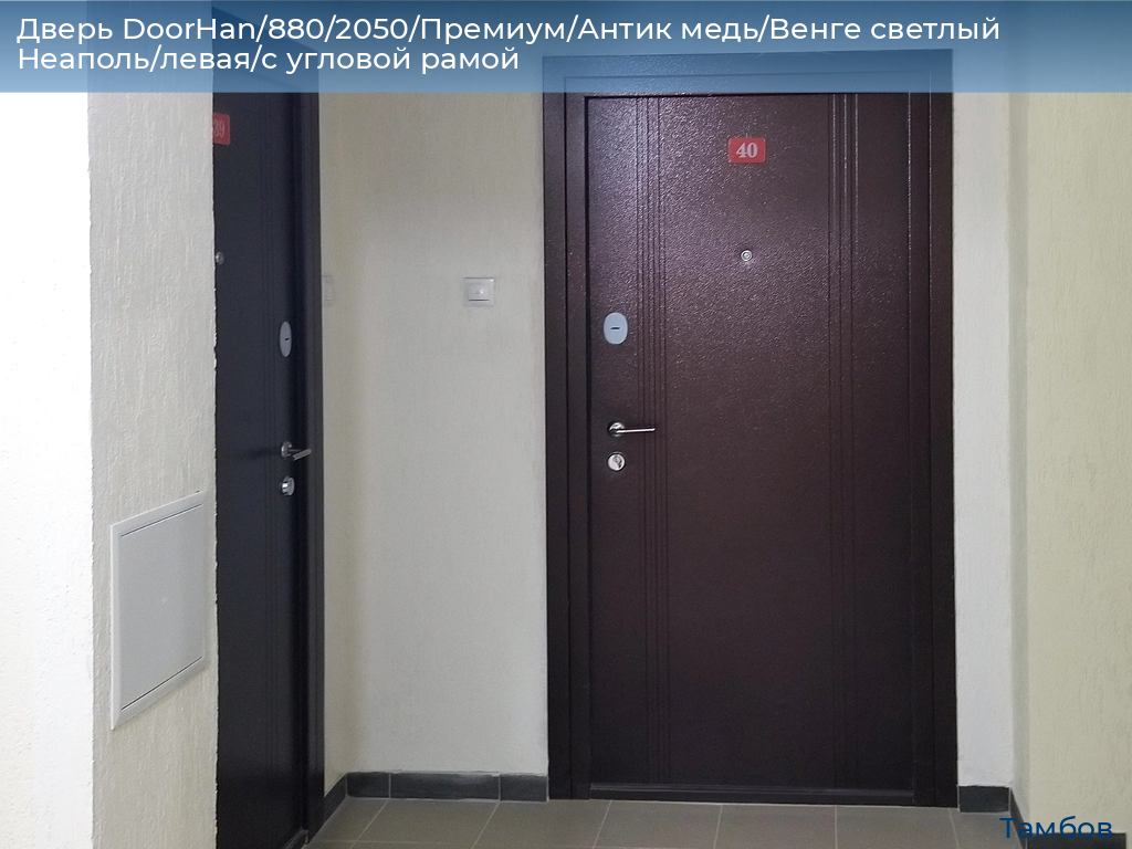 Дверь DoorHan/880/2050/Премиум/Антик медь/Венге светлый Неаполь/левая/с угловой рамой, tambov.doorhan.ru