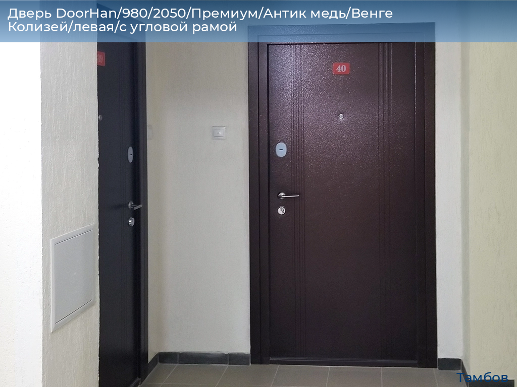 Дверь DoorHan/980/2050/Премиум/Антик медь/Венге Колизей/левая/с угловой рамой, tambov.doorhan.ru