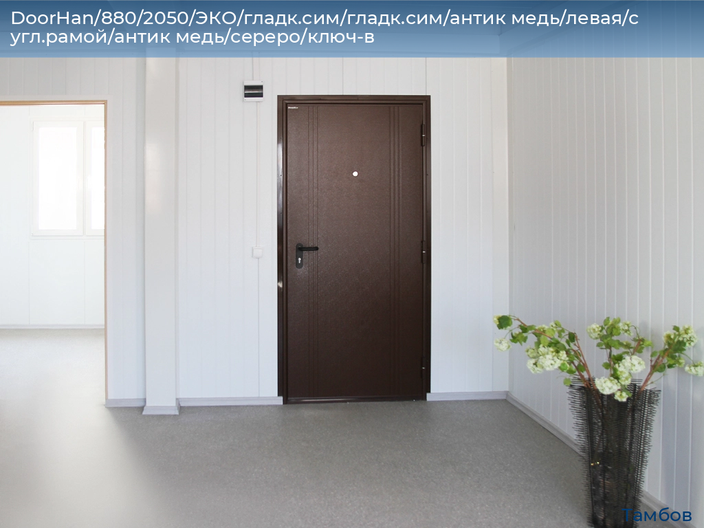 DoorHan/880/2050/ЭКО/гладк.сим/гладк.сим/антик медь/левая/с угл.рамой/антик медь/сереро/ключ-в, tambov.doorhan.ru