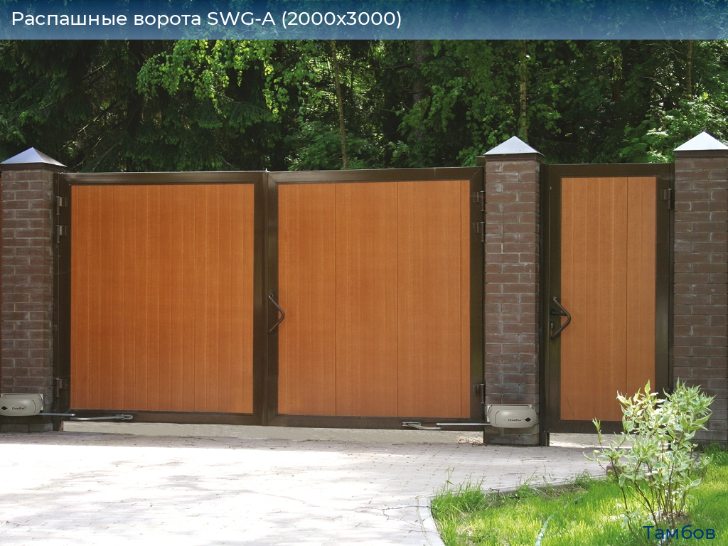 Распашные ворота SWG-A (2000х3000), tambov.doorhan.ru